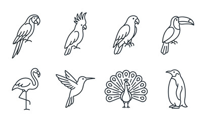 Set of 8 Tropical Bird Icons, Exotic Avian Vector Graphics, Minimalist Line Art Animals for Nature and Wildlife Design © Bundleprohub