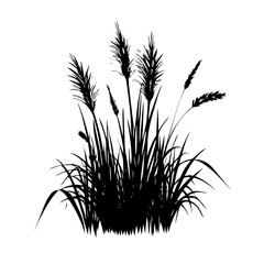 Fototapeta premium Wheat Field Grass Tuft Vector Silhouette