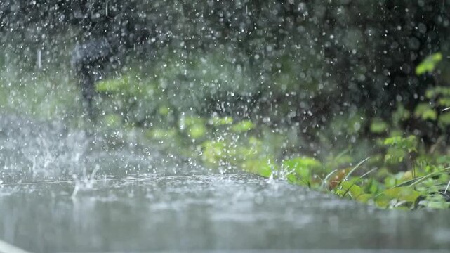 Close-up shot of heavy rain pouring and splashing on a flat surface with blurred green plants in the background for a rainy season or weather concept