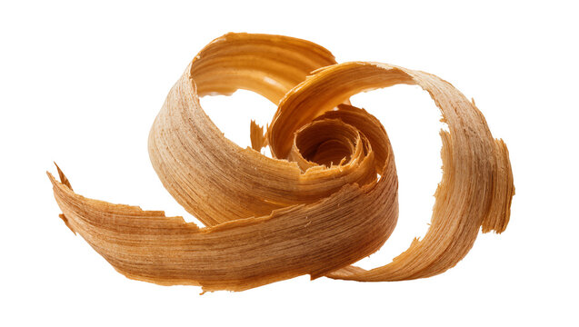 Isolated delicate spiral wood shavings, showing beautiful natural texture and elegant curled form.