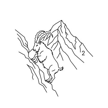 Mountain goat climbing steep rugged terrain gracefully.