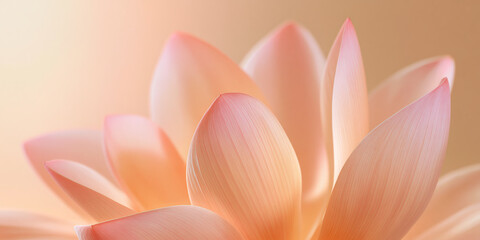 Soft macro pink lotus flower petals with warm glowing light and ethereal background