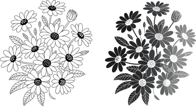 Beautiful daisy bouquet vector illustration set with clean botanical line art and dark silhouette styles for greeting card designs