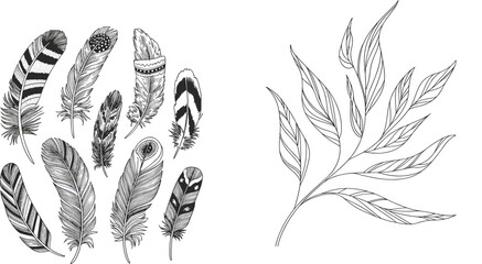 Boho style feather collection and botanical leaf branch vector illustrations set with black line art drawings © MdAlamgir