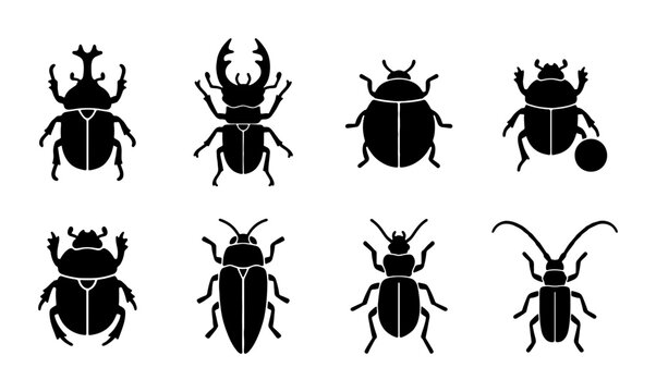 Insect Icons Set, Beetle Silhouettes Collection, Entomology Vector Graphics, Nature Wildlife