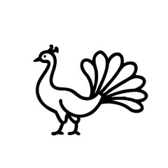 Fototapeta premium peacock vector illustration