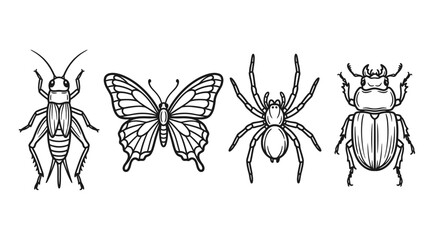 Collection of Hand-Drawn Insects: Butterfly, Cricket, Spider, Beetle © seno