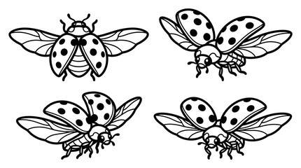 Ladybug Illustration Set © Swtiawan