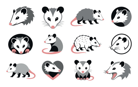 Cute opossum vector cartoon icon set collection featuring various poses, expressions, and designs of the North American marsupial for creative graphic projects