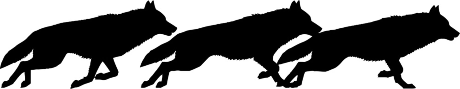 Silhouette of three running wolves in motion.
