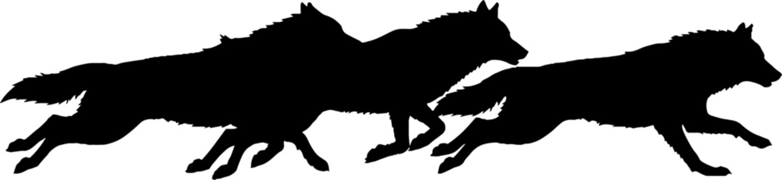 Silhouette of wolves running in a pack formation.