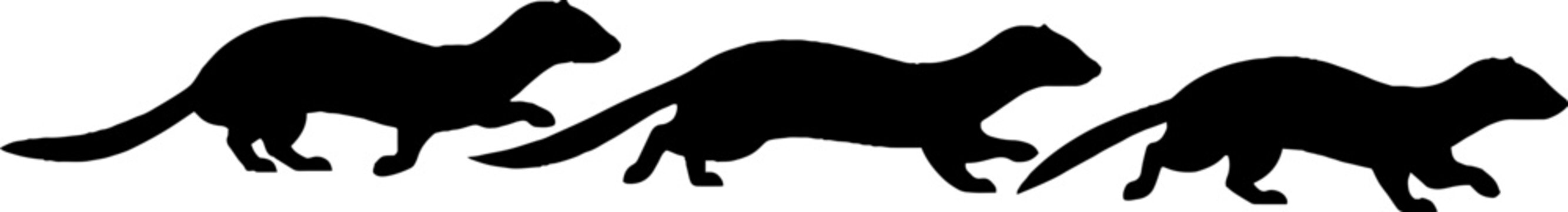 Three black weasels in motion silhouette.