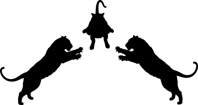 Silhouette of two lions jumping towards a bull.