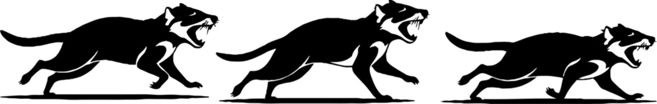 Three black panthers running in sequence.