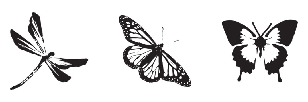 Black and white butterfly and dragonfly vector illustrations