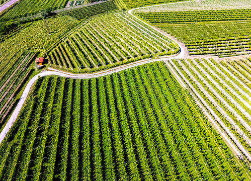 Agricultural landscape near the town of Dro in Trentino, Italy