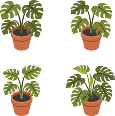 Fototapeta premium Set Of Four Pixel Art Monstera Houseplants In Terracotta Pots Isolated On White Background