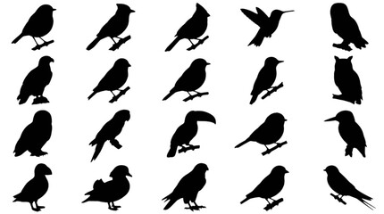 Fototapeta premium Black birds flying in various poses