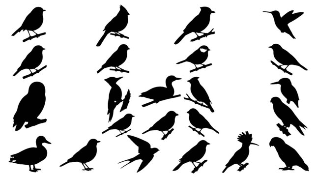 Black birds flying and perching in formation