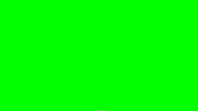2D Flat Vector Pizza Cooking and Making Animation on Green Screen