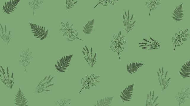 Seamless looping botanical pattern animation featuring fern leaves, lavender sprigs, and wild foliage on a soft sage green background. Elegant nature-inspired motion graphic for organic designs.