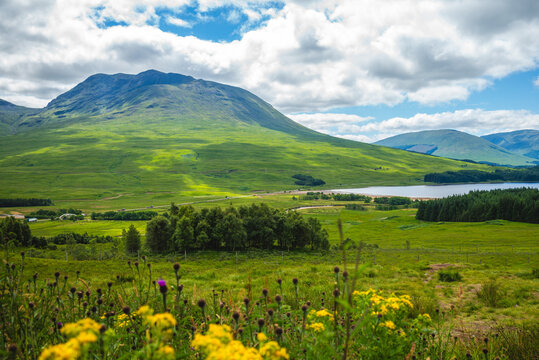 Scenery of Loch Lomond at highlands in Scotland, UK
