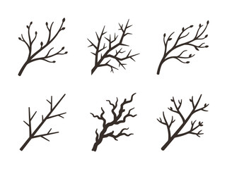 Obraz premium A collection of six bare tree branches with no leaves on a white background.