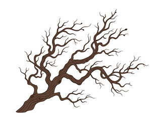 A brown tree with many branches and no leaves stands alone © firman