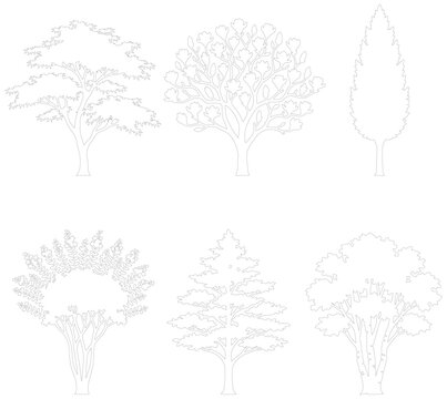 Minimalist tree outline icons, set of 6 thin line vector trees. Modern botanical wireframe illustrations for architectural site plans and landscape design.