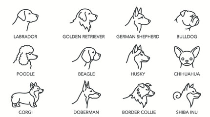 Fototapeta premium Minimalist side-profile silhouettes illustrating the full-body skeletal structure and distinct stance of champion canine breeds