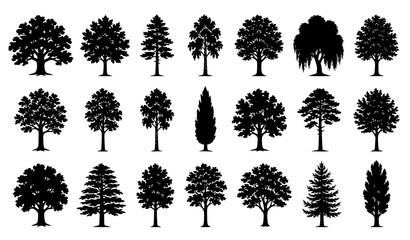 Fototapeta premium Nature Tree Silhouette Pack with Black Leafy Trees for Environmental Vector Illustrations