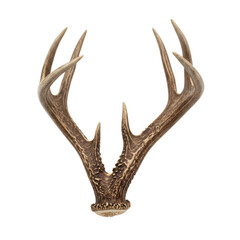Fototapeta premium Single whitetail deer antler with textured bone surface, brown and ivory hues, and branching tines isolated on a transparent background, primal wilderness mood