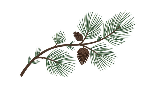 A pine branch with pinecones and needles extends outward from the left.