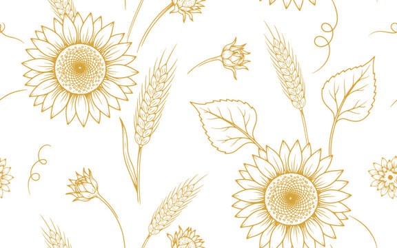 Vintage sunflower and wheat seamless pattern, gold floral line art background, elegant botanical harvest texture for autumn wedding stationery