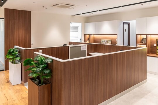 Modern Office Reception Area with Wooden Paneling and Plants