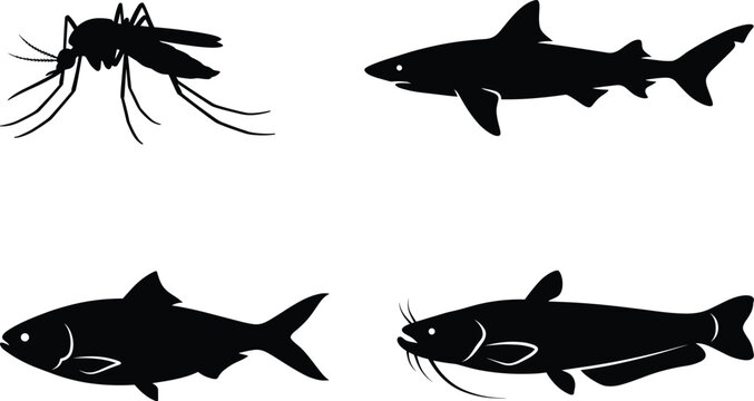 Mosquito shark fish catfish silhouette, aquatic animal illustration set