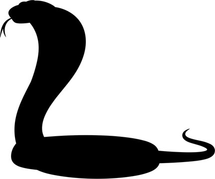 Cobra Snake Silhouette Vector Illustration