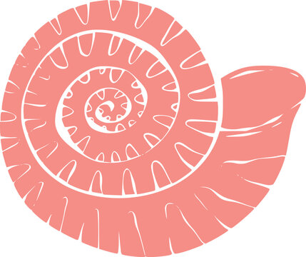 Vintage Sea Shell Graphic Illustration