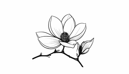 Detailed illustration of a magnolia flower. © Baskara