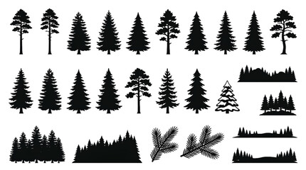 Diverse Pine Tree Silhouettes Collection Evergreen Forest Icons Nature Elements Set Black Vector Graphics © B