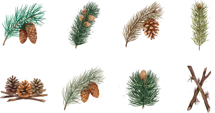 Pine cone and cedar branch vector set featuring realistic evergreen coniferous twigs winter foliage and rustic wooden sticks isolated on white background