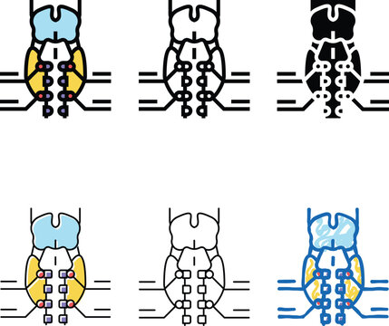 parathyroid gland endocrinology color icon vector. parathyroid gland endocrinology sign. variants isolated symbol