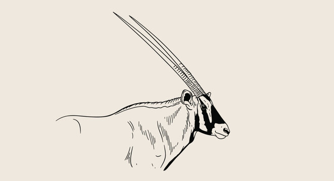 Minimalist line art illustration of an Oryx antelope profile showing its long straight horns and characteristic facial markings on a beige background.