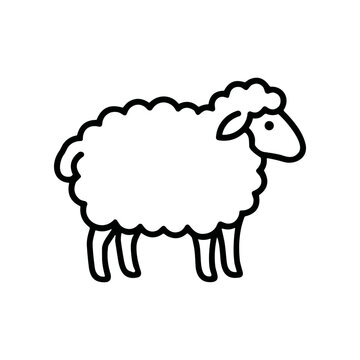 Sheep standing alone in profile view.