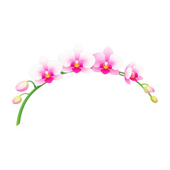 Obraz premium PNG Elegant pink orchid illustration.