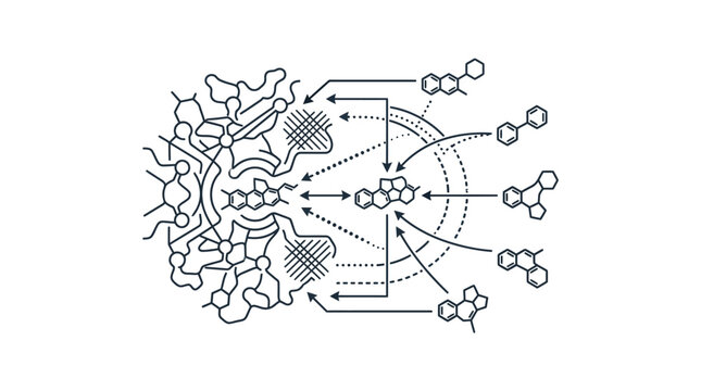 Molecular interaction diagram showing ligand binding to protein receptor.