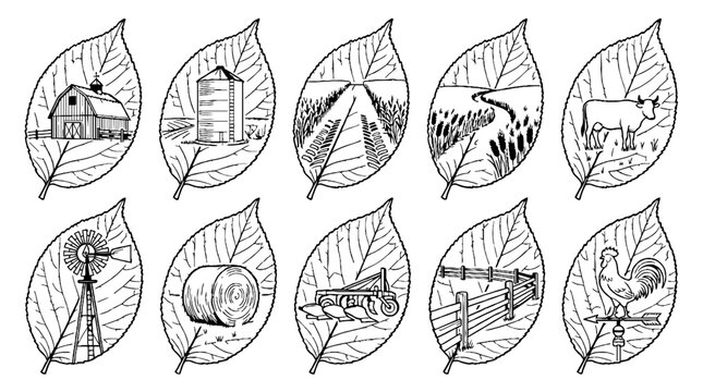Hand drawn farm and agriculture icons inside leaf shapes set.