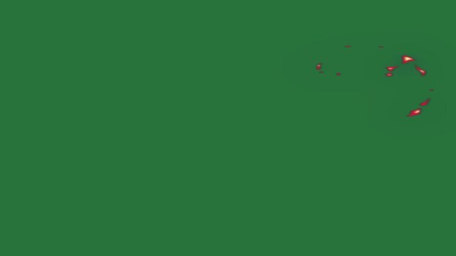 A green screen with red light on it and fire is burning background in the middle bunch of flowers white border animated chromakey background design colorful movement creative motion