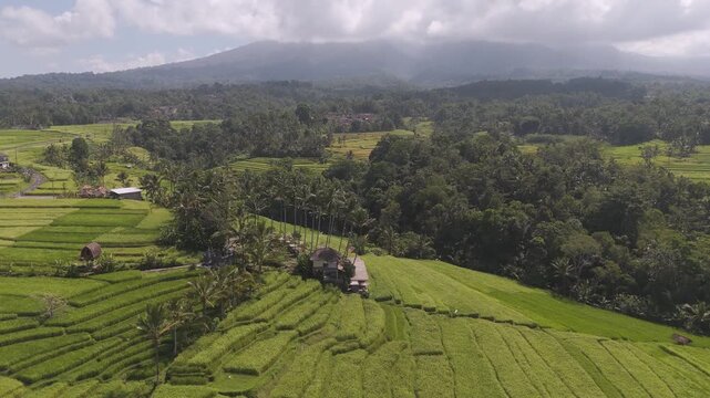 Aerial view of a luxury villa resort surrounded by lush green rice terraces and palm trees in Tabanan, Bali, Indonesia.