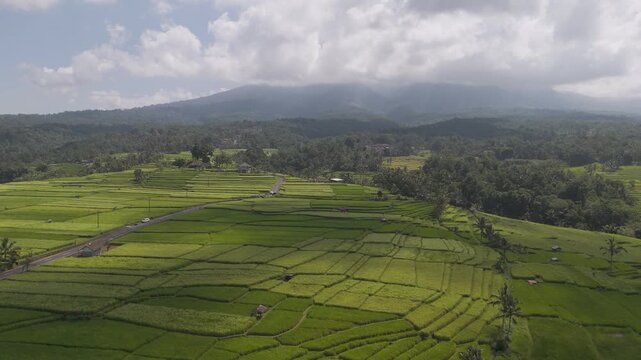 Aerial view of scenic green rice fields with a road and mount Batukaru under a cloudy sky in Tabanan, Bali, Indonesia.